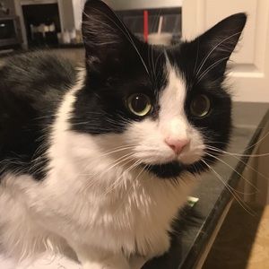 Meet your Posher, Julia