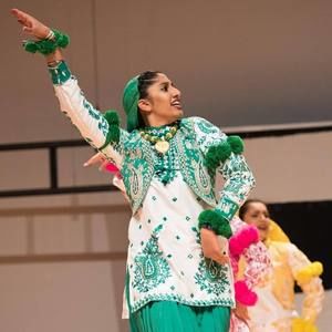 Meet your Posher, Harbawari