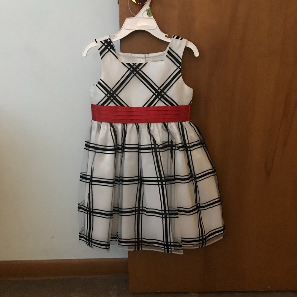 Sweet Heart Rose Dress