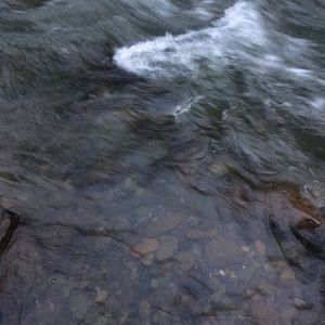 Meet your Posher, Eli