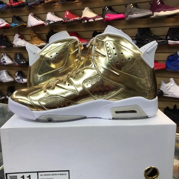 pinnacle 6s main image 8
