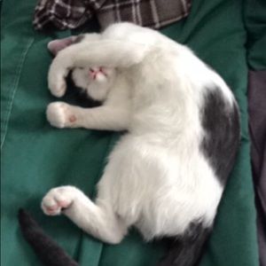 Meet your Posher, Anthony