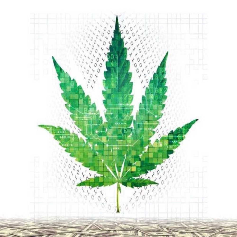 420 friendly clothing! Open to offers!