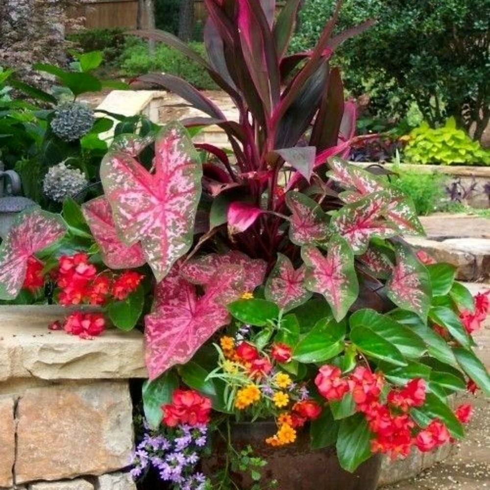 Meet your Posher, Phyllis