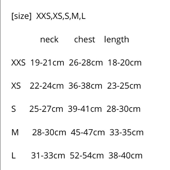 Dragon Pet Outfit - Picture 4 of 5