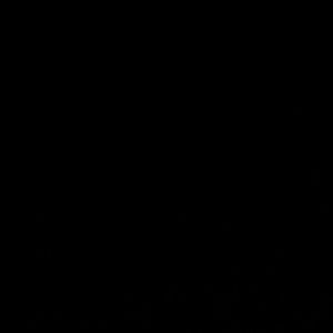 Meet your Posher, Lunaa