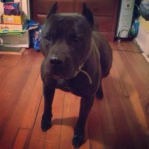 Meet your Posher, Christopher