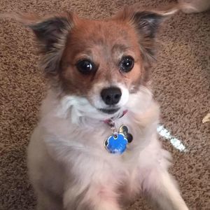 Meet your Posher, Bernadine