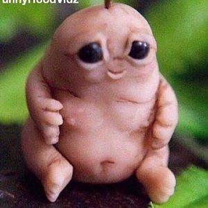 Meet your Posher, Ben