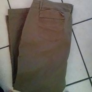 New york and company pants