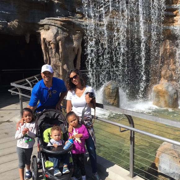 Meet your Posher, Rose - Picture 1 of 1