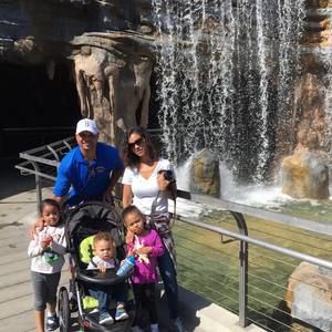 Meet your Posher, Rose