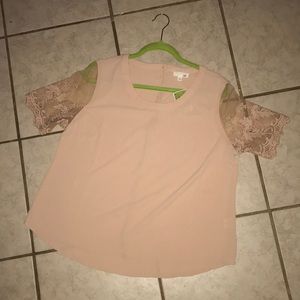 BRAND NEW cream lace detail sleeve top