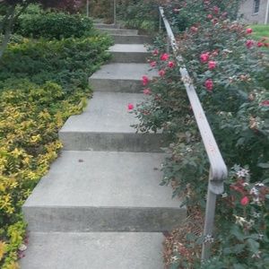 Meet your Posher, Colette