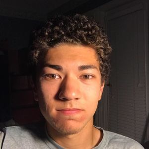 Meet your Posher, Remi