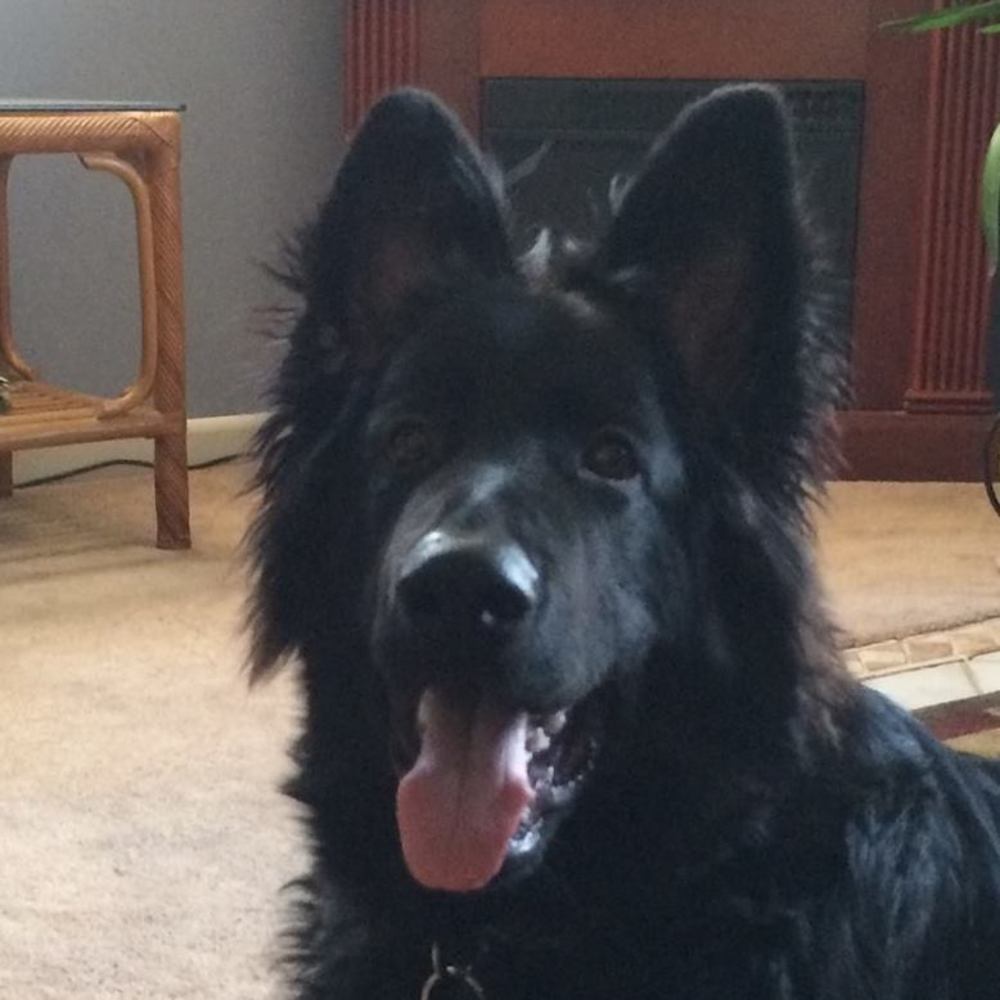 Meet your Posher, Bryce