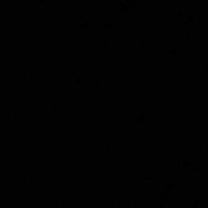 Meet your Posher, Jasmyne