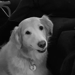 Meet your Posher, Toni