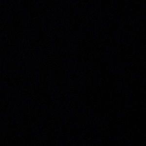 Meet your Posher, Darrell