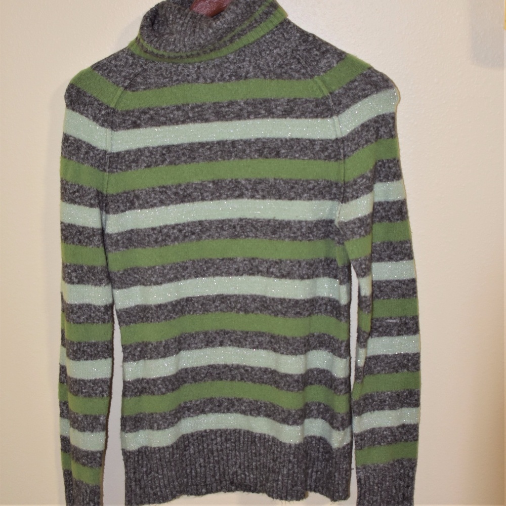 Wool Striped Turtleneck Sweater