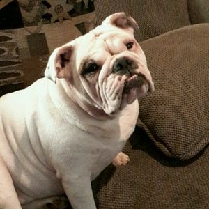 Meet your Posher, Kerry