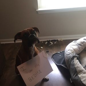 Meet your Posher, Meredith