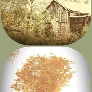 Meet your Posher, Tara