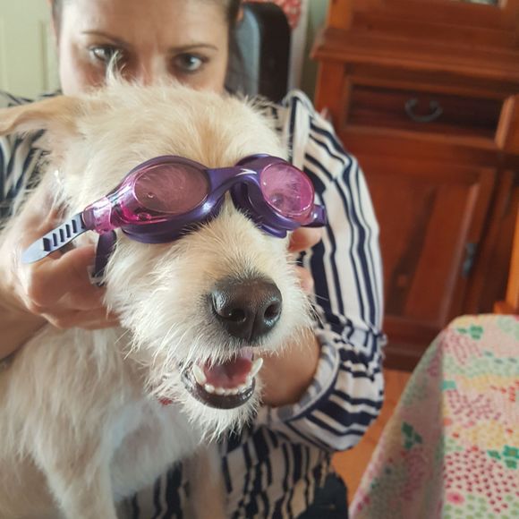 Meet your Posher, Kellie - Picture 1 of 1