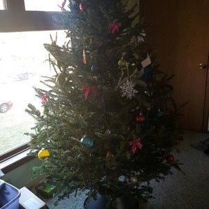 Meet your Posher, Sam