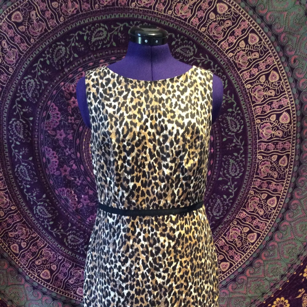 ❤️Loft leopard dress new with tags