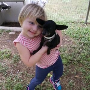 Meet your Posher, Penny