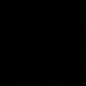 Meet your Posher, Antwone