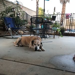 Meet your Posher, Mia