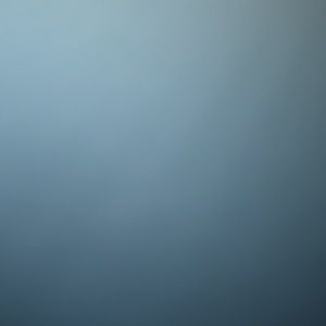 Meet your Posher, Jackson