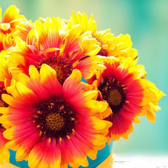 Meet your Posher, Paris - Picture 1 of 1