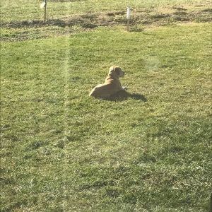 Meet your Posher, Nathan