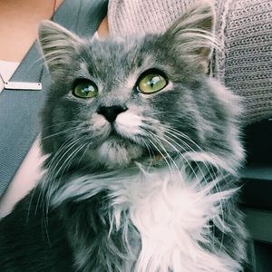 Meet your Posher, Hailey