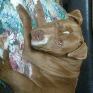 Meet your Posher, Misty