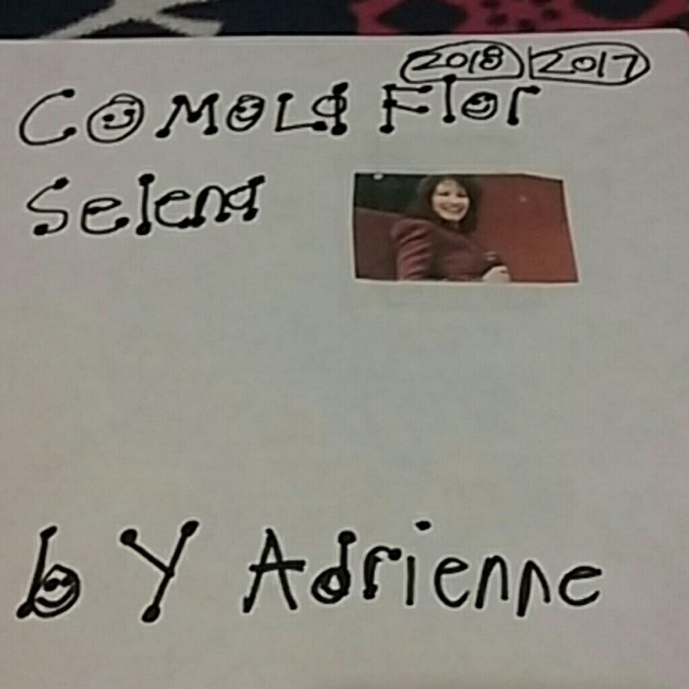 Selena Quintanilla picture