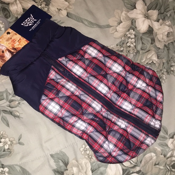 humane society dog sweater