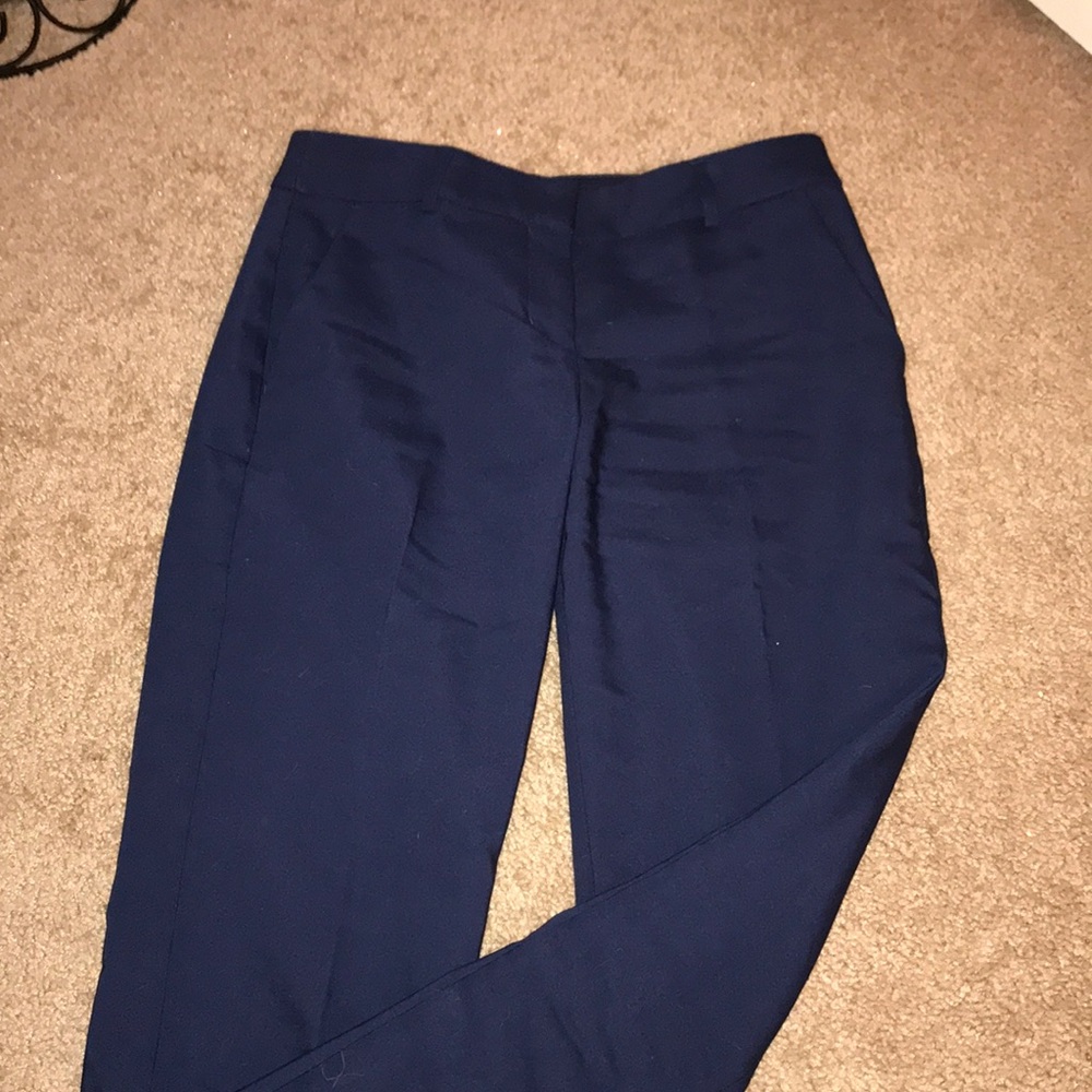 Express Columnist Dress Pants