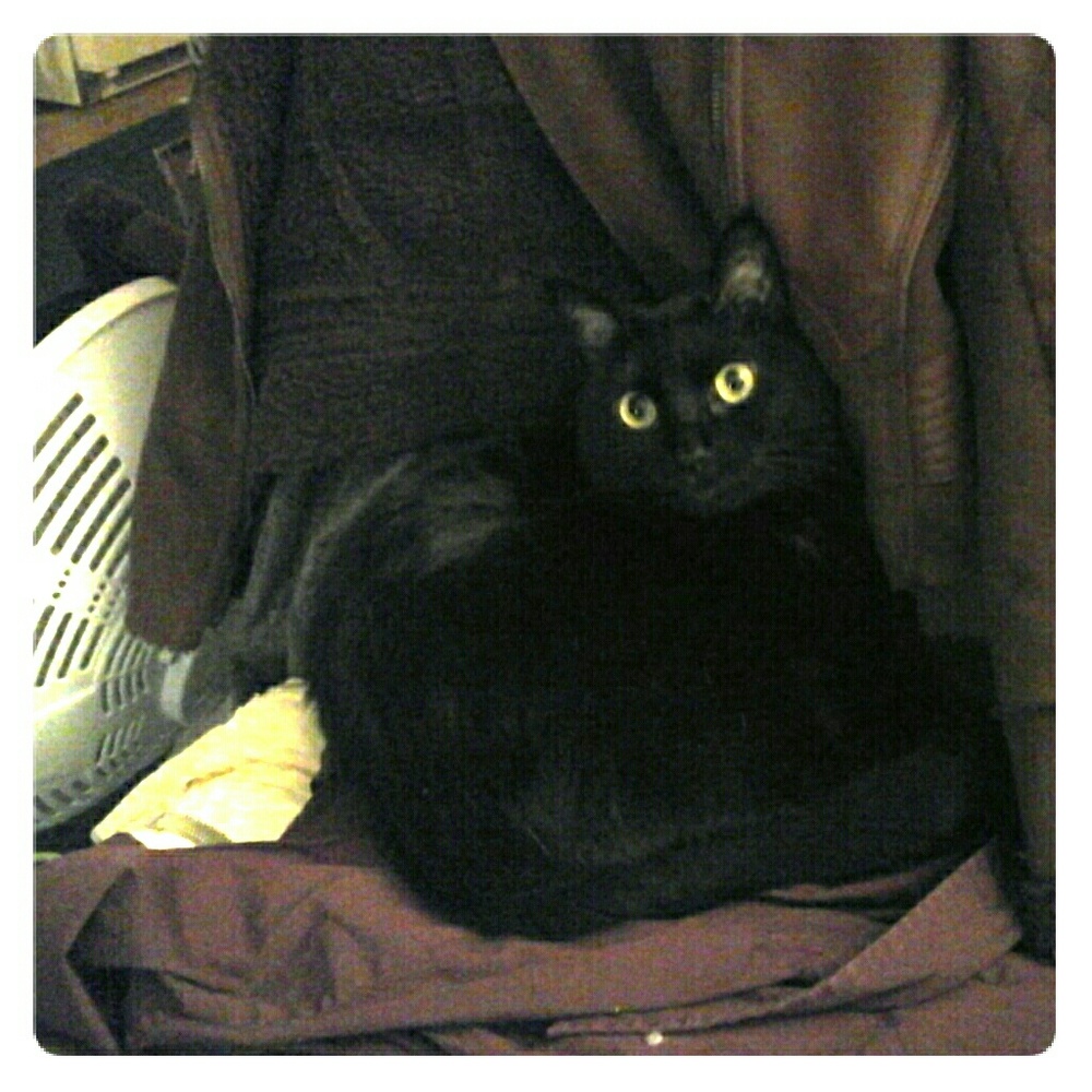 My beautiful shadow