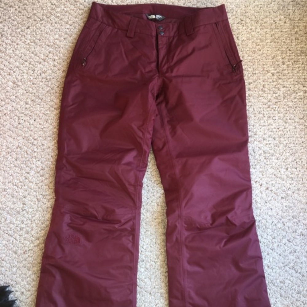 The north face Snow Pants