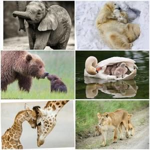 Meet your Posher, Teresa