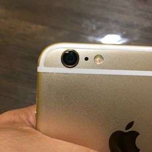 Meet your Posher, Fernando