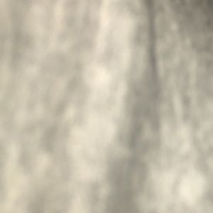 Meet your Posher, Billy