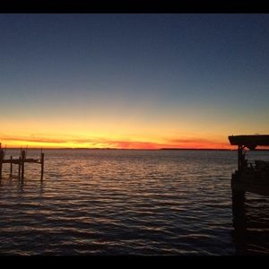 Meet your Posher, Ann