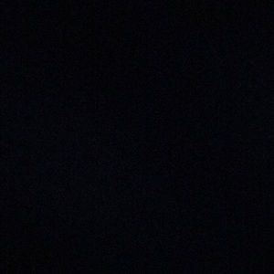 Meet your Posher, Will