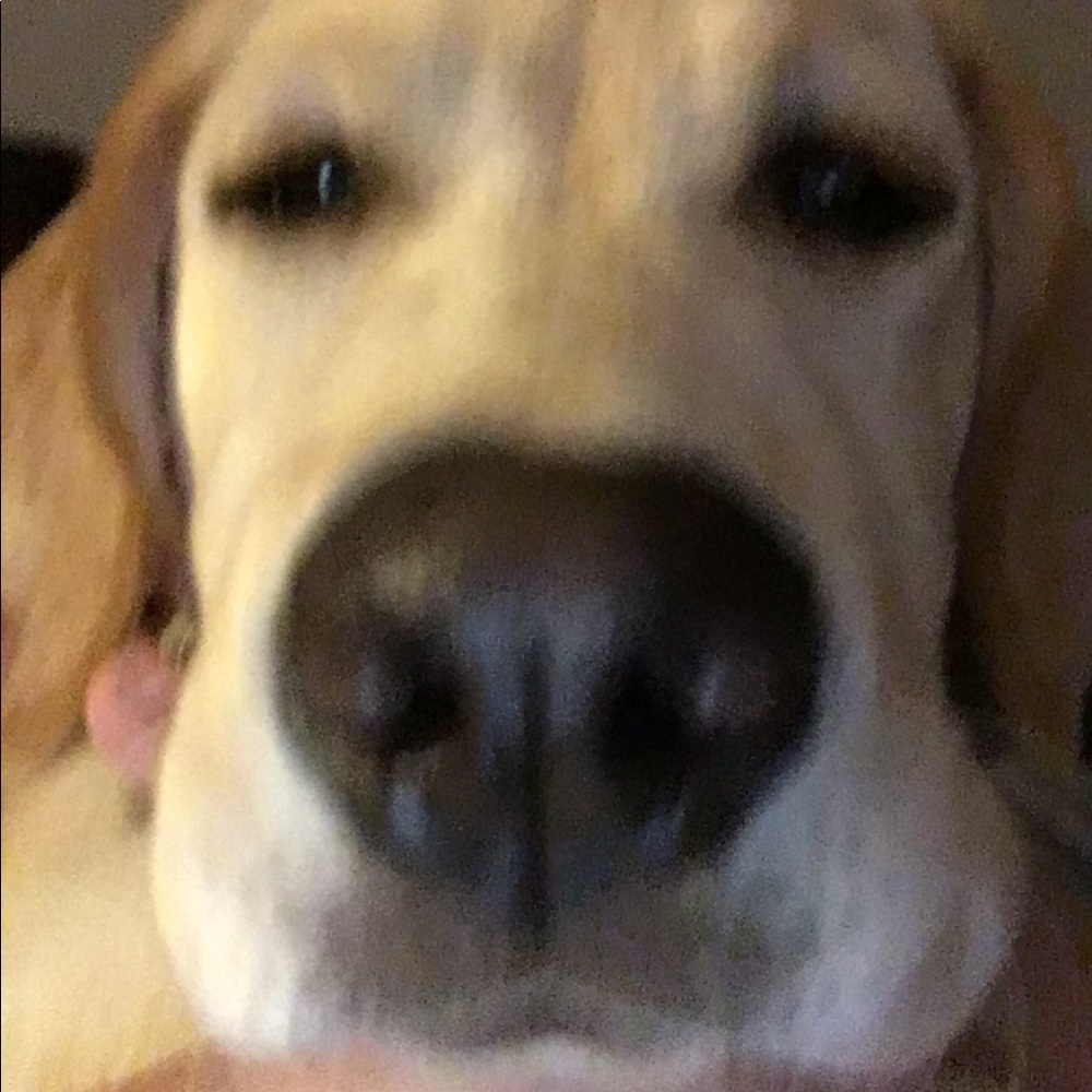 Meet your Posher, Andrew