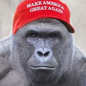 Meet your Posher, Will